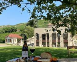 Terres de Syrah