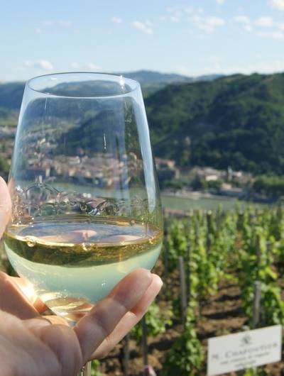 img-visite-theatralisee-au-fil-des-cuvees-salon-des-vins