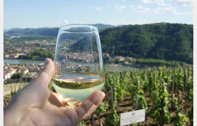 image de Visite théâtralisée au fil des cuvées - Salon des vins