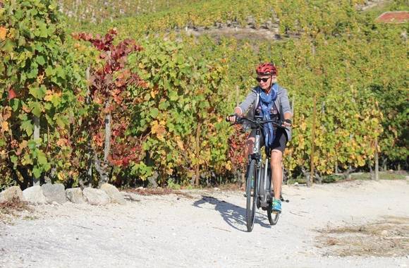img-ebike-tour-between-vineyards-and-orchards