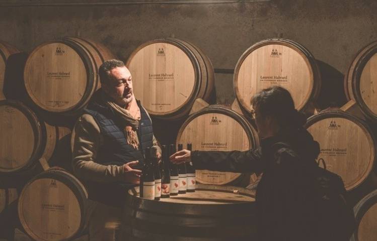 Photo of One day around the Hermitage hill - Visits and tasting
