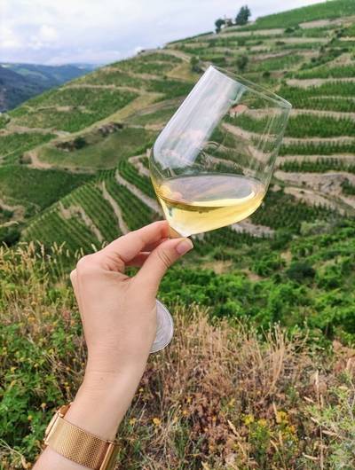 img-apero-vignes