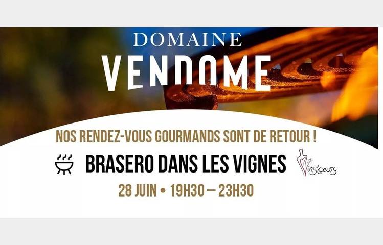 image de Brasero dans les vignes - Domaine Vendome