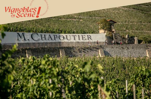 Visite des vignes & dégustation - Maison M. CHAPOUTIER