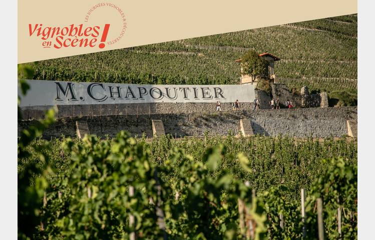 image de Visite des vignes & dégustation - Maison M. CHAPOUTIER