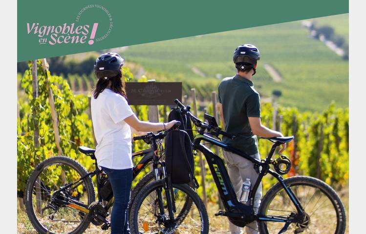 image de Balade en vélo à assistance éléctrique - Maison M. CHAPOUTIER