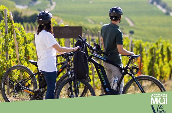 EBike ride - Maison M. CHAPOUTIER