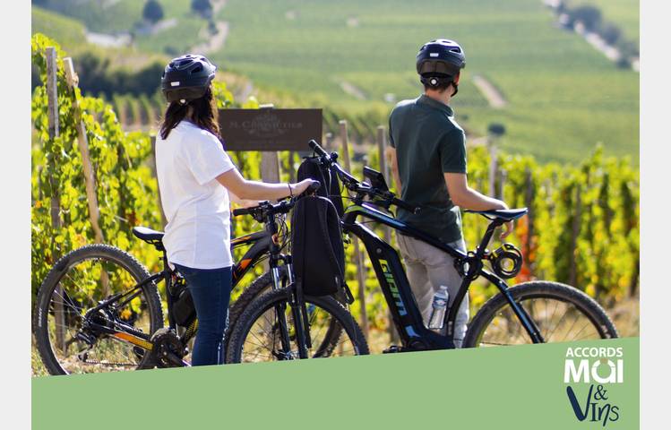 image de EBike ride - Maison M. CHAPOUTIER