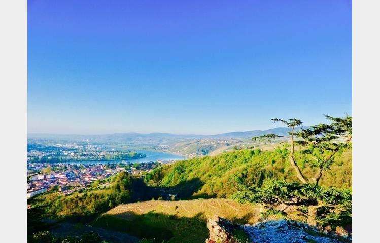 image de Excursion Côte-Rôtie Hermitage : La vallée du Rhône Nord avec Rhône Trip