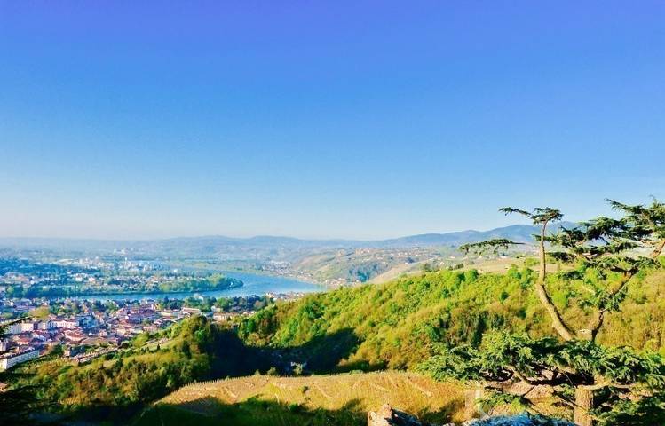 Photo of Excursion Côte-Rôtie Hermitage : La vallée du Rhône Nord avec Rhône Trip