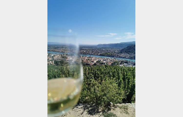 image de Excursion Côte-Rôtie Hermitage : La vallée du Rhône Nord avec Rhône Trip