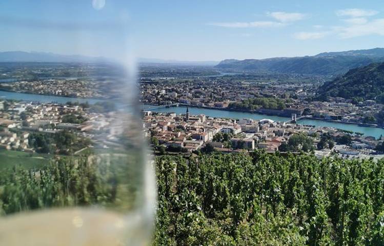 Photo of Excursion Côte-Rôtie Hermitage : La vallée du Rhône Nord avec Rhône Trip
