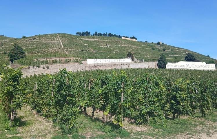 Photo of Excursion Côte-Rôtie Hermitage : La vallée du Rhône Nord avec Rhône Trip