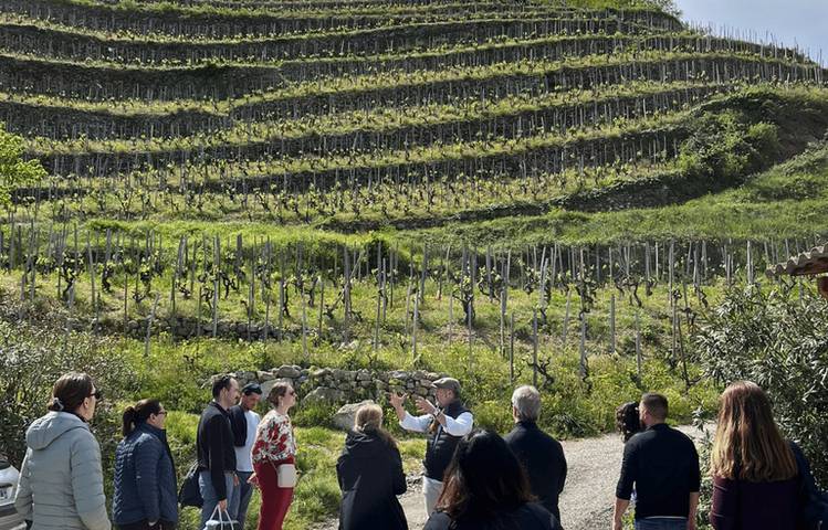 Photo of Excursion Côte-Rôtie Hermitage : La vallée du Rhône Nord avec Rhône Trip