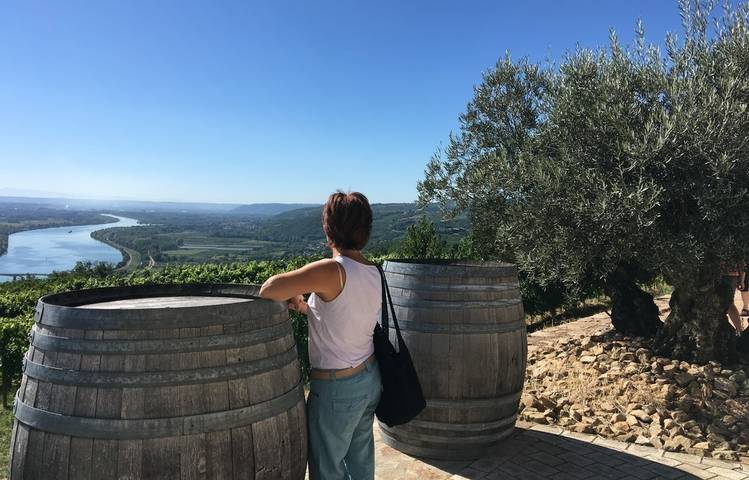 Photo of Excursion Vallée du Rhône Nord : Syrah et Viognier avec Rhône Trip