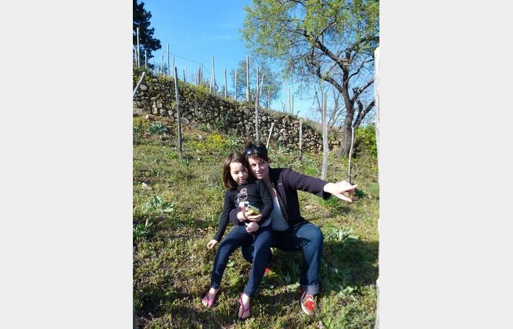 image de Chasse au trésor : Pépin et les origines de la Syrah