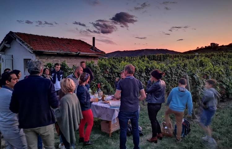 Photo of La Balade du Canotier et du Petit Train des Vignes
