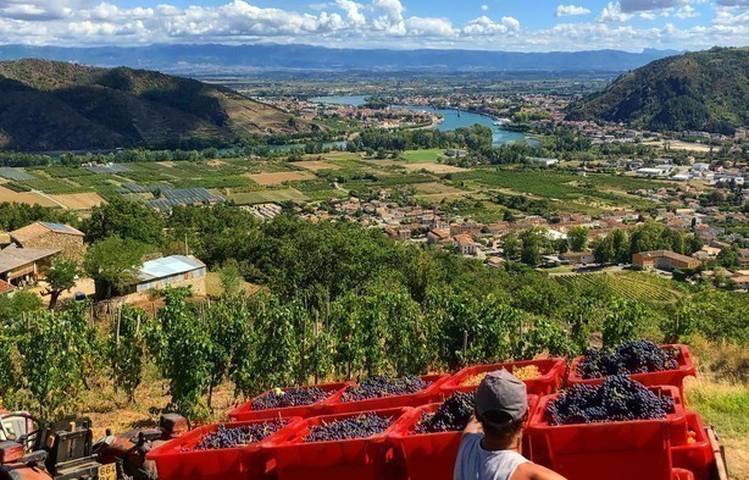 Photo of Domaine de Gouye