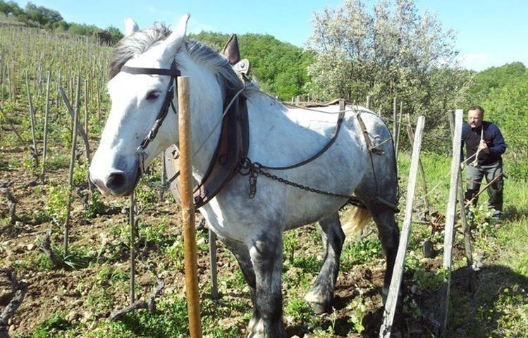 Photo of Domaine de Gouye