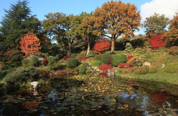 Splendeurs d'Automne - Jardin Zen d'Erik Borja