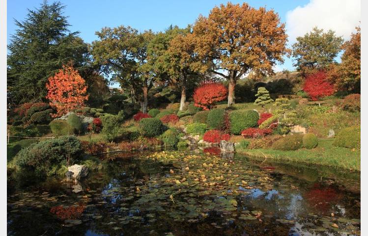 image de Splendeurs d'Automne - Jardin Zen d'Erik Borja