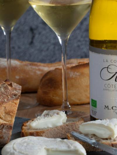 img-atelier-du-mois-vin-fromage-m-chapoutier