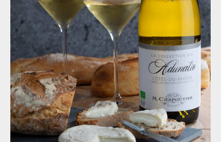 image de Workshop of the Month: Wine & Cheese - M CHAPOUTIER