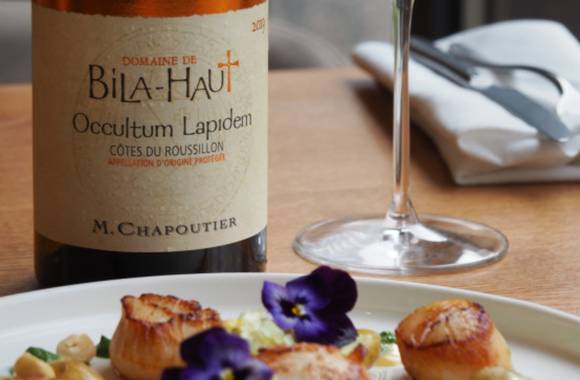 Workshop of the Month: Wine & Seafood Flavors - M CHAPOUTIER