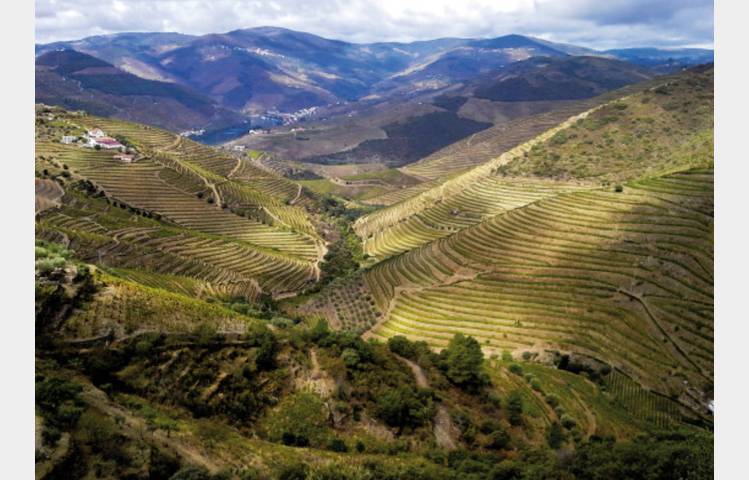 image de Discovery Workshop: 'Spain & Portugal' - M. CHAPOUTIER