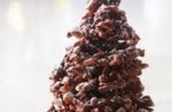 Sapins rochers festifs - Noël à la Cité du Chocolat