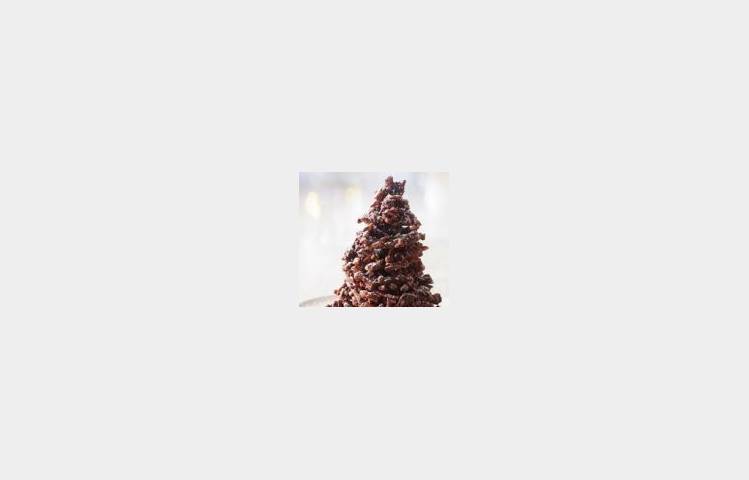 image de Sapins rochers festifs - Noël à la Cité du Chocolat