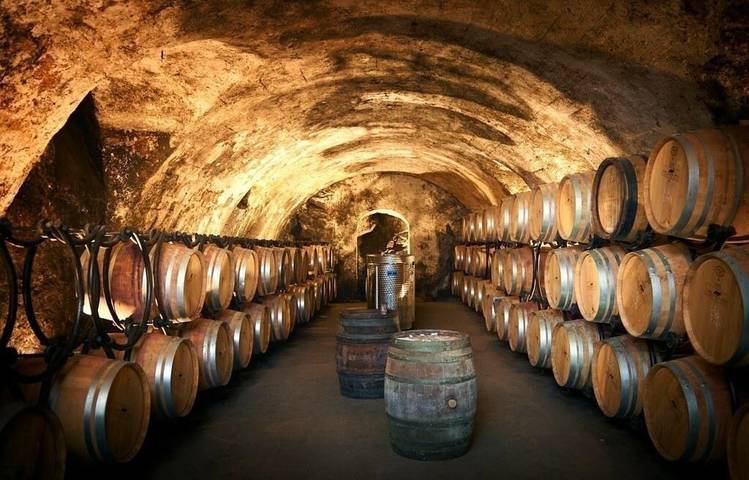 Photo of Wine and Ride Condrieu