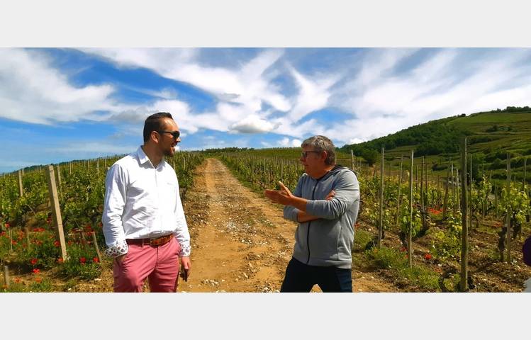 image de A la rencontre des vignerons avec l'agence "Au Rythme des Vignes"