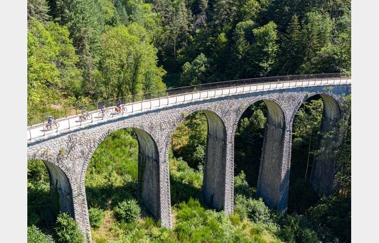 image de Le Cyclo Train - Train de l'Ardèche