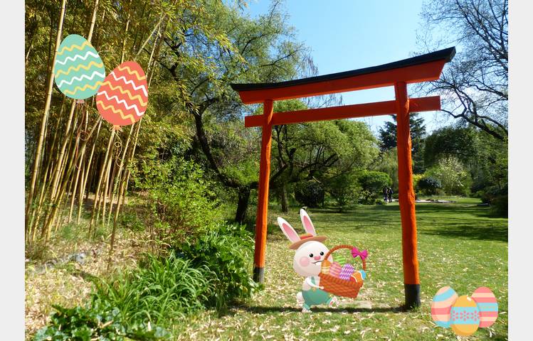 image de Chasse au Trésor : Mystère au Jardin Zen