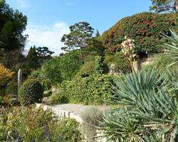 Jardin zen d'Erik Borja