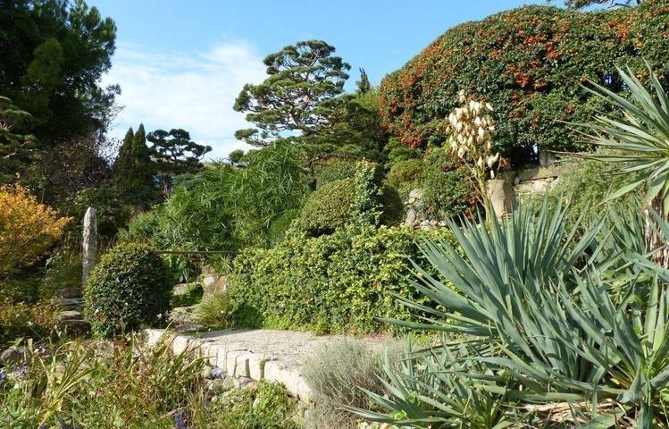 Photo of Erik Borja's zen garden