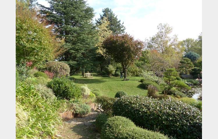 image de Erik Borja's zen garden