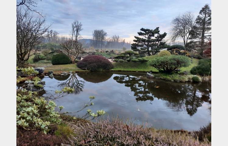 image de Erik Borja's zen garden