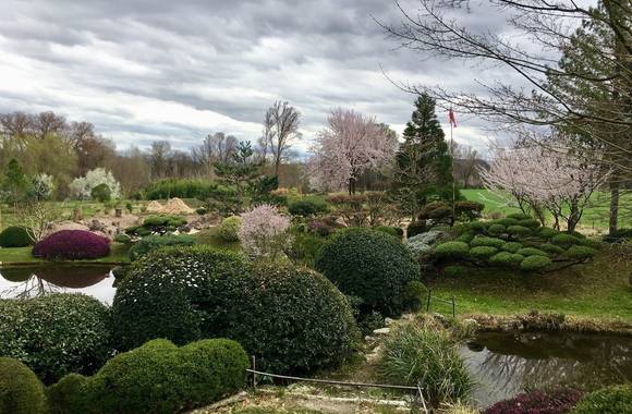 Erik Borja's zen garden