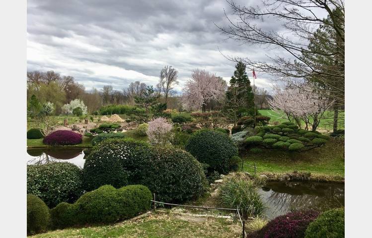 image de Erik Borja's zen garden