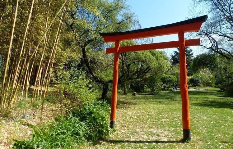 Photo of Erik Borja's zen garden