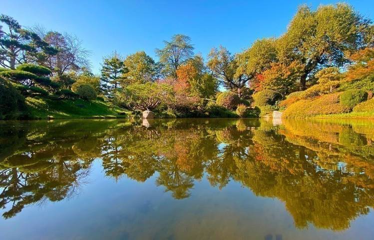 Photo of Erik Borja's zen garden