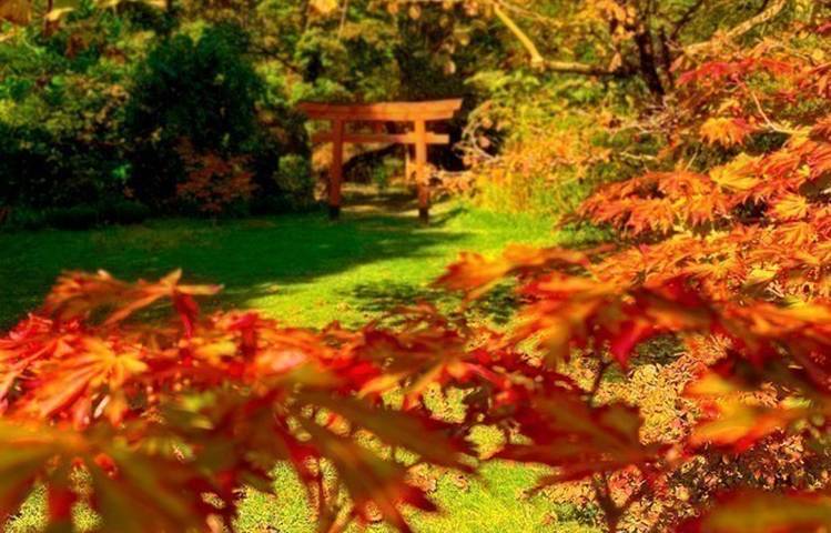Photo of Erik Borja's zen garden