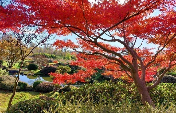 Photo of Erik Borja's zen garden