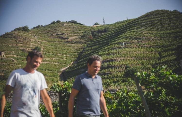 Photo of Visite prestige du Domaine Luyton-Fleury