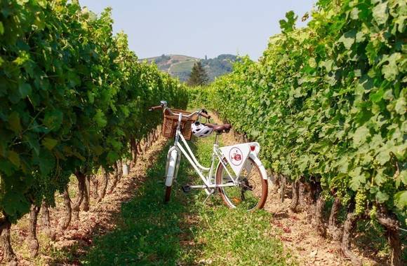 Pass producteurs avec Wine and Ride