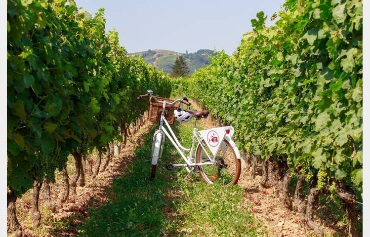 image de Producer pass with Wine and Ride