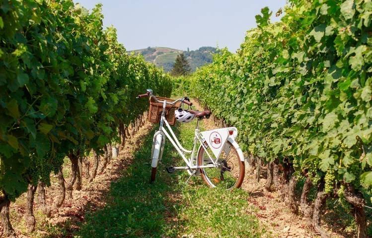 Photo of Pass producteurs avec Wine and Ride