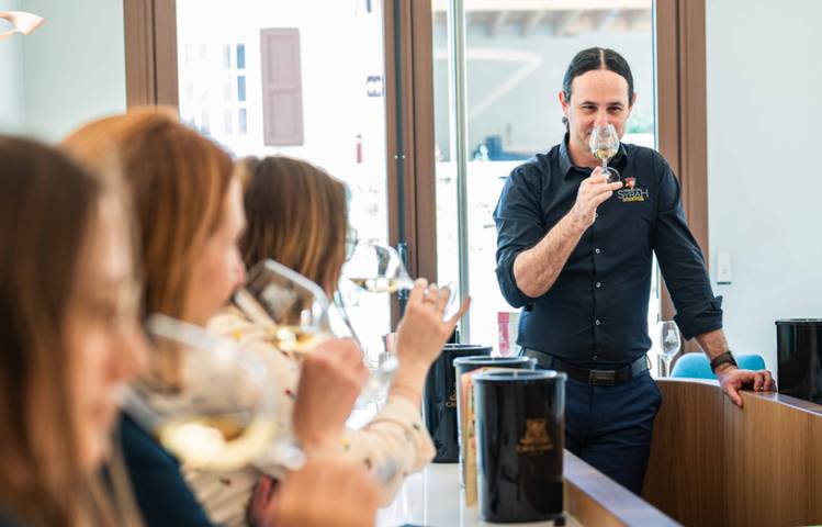 Photo of Initiation à la dégustation avec Terres de Syrah